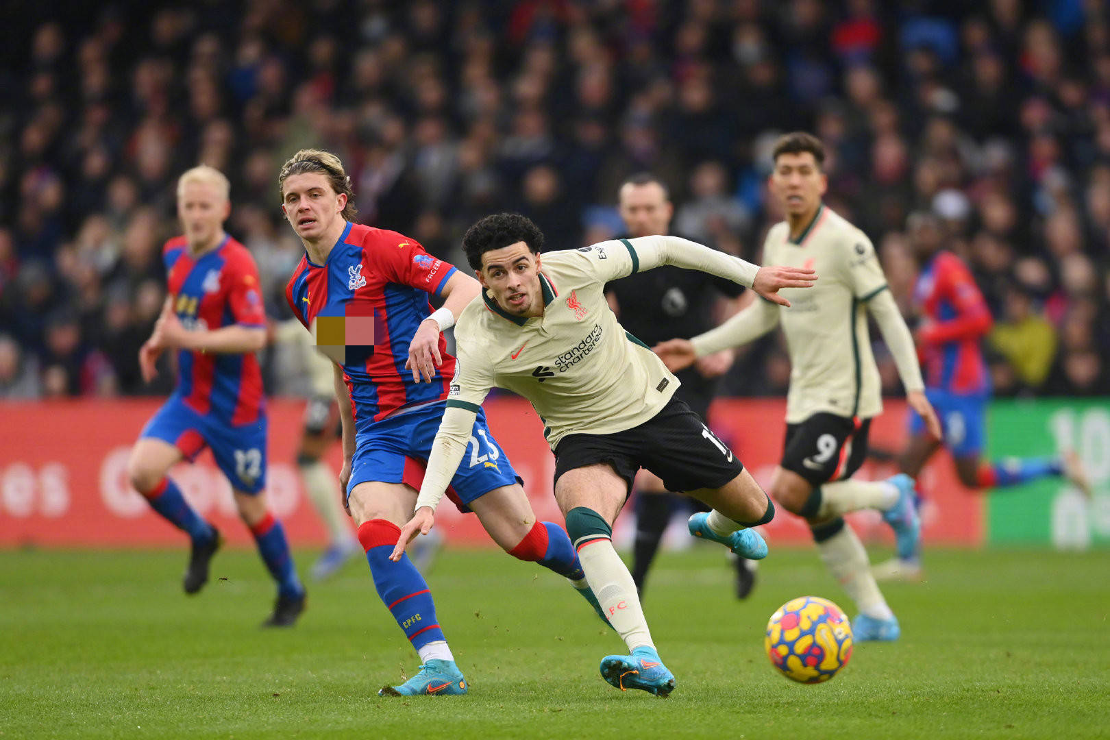 已成为体育 已成为体育